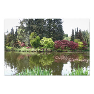 Impression Photo paysage magnifique d'un jardin botanique en été, b