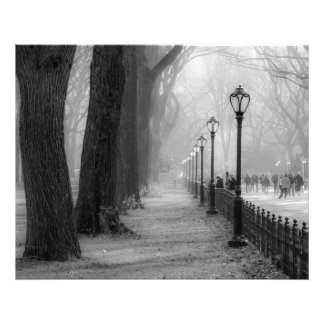 Impression Photo Paysage noir et blanc à Central Park