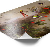 Impression Photo Paysage tropical avec dix colibris (Coin)