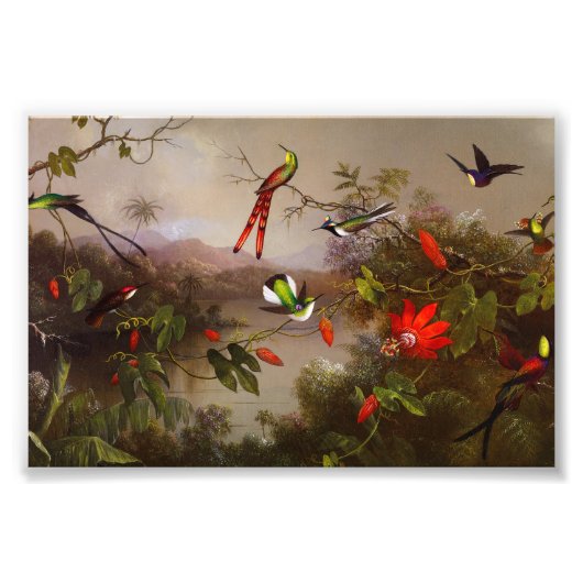 Impression Photo Paysage tropical avec dix colibris (Devant)