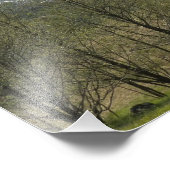 Impression Photo Paysage volcanique du Mont St Helens (Coin)