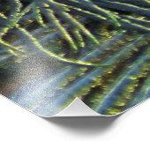 Impression Photo Peacock20160301 (Coin)