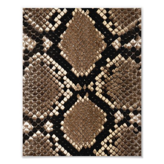 Impression Photo Peau de serpent à sonnette Diamond Back (Devant)