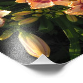 Impression Photo Pêcher Les Lys Orientaux (Coin)