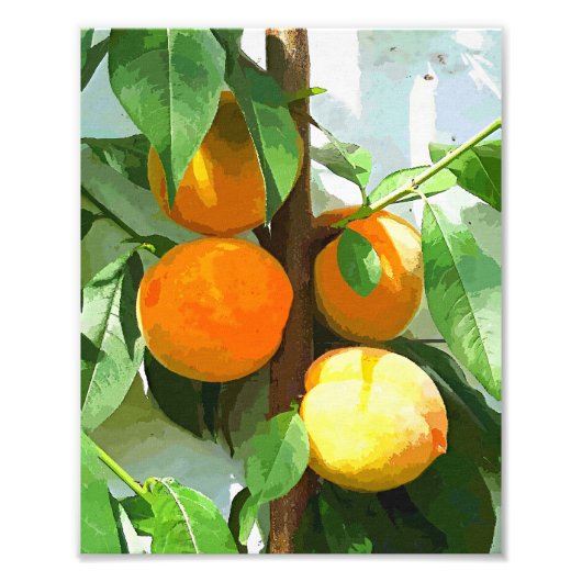 IMPRESSION PHOTO PÊCHES (Devant)