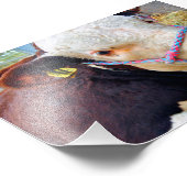 Impression Photo Pedigree Hereford Vache (Coin)