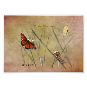 Impression Photo Peinte Dame Mixed Media 