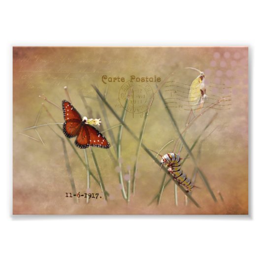 Impression Photo Peinte Dame Mixed Media (Devant)