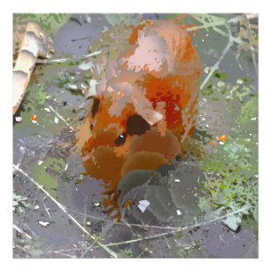 Impression Photo Peinture folle - Cochon de Guinée