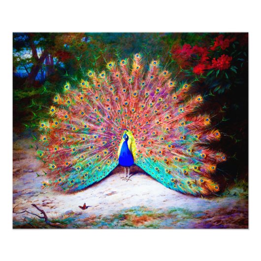 Impression Photo Peinture Peacock vintage (Devant)
