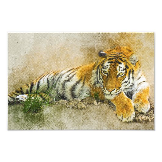 Impression Photo Peinture sur tigre (Devant)