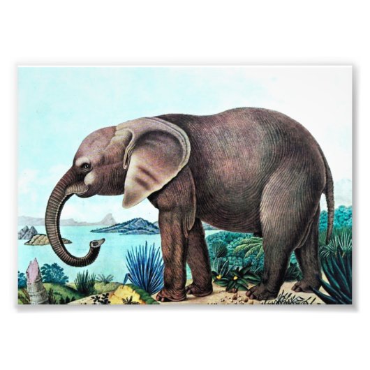 Impression Photo Peinture Vintage africaine des éléphants (Devant)