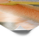 Impression photo Pélican (Coin)