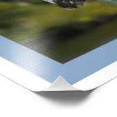 Impression Photo Pélican Brown (Coin)