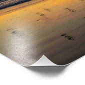 Impression Photo Pélicans au coucher du soleil - Venice Beach, CA (Coin)