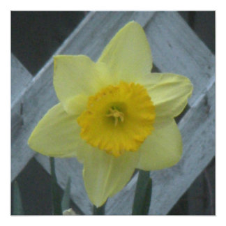 Impression Photo Pensez au printemps !