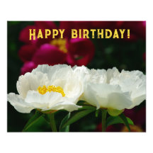 Peony/Flower Magic/Fleur blanche/Joyeux anniversai