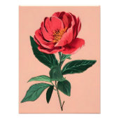 Impression Photo Peony vibre (Devant)
