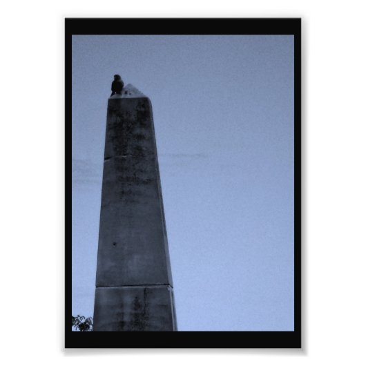 Impression Photo Perche parfaite (Devant)