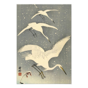 Impression Photo Perching Herons in Snow par Ohara Koson