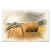 Impression Photo Période de récolte (Devant)