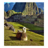 Impression Photo Pérou, Andes, Monts des Andes, Machu Picchu (Devant)
