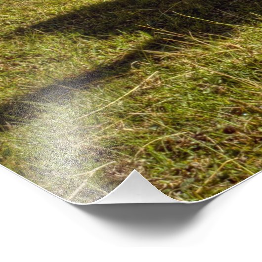 Impression Photo Pérou, Andes, Monts des Andes, Machu Picchu (Coin)