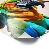 Impression Photo Perroquet (Coin)