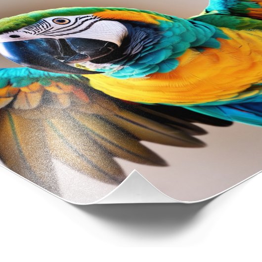 Impression Photo Perroquet (Coin)