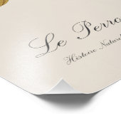 Impression Photo Perroquet à joues bleues / Amazone à queue rouge (Coin)