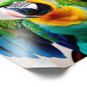 Impression Photo Perroquet coloré (Coin)