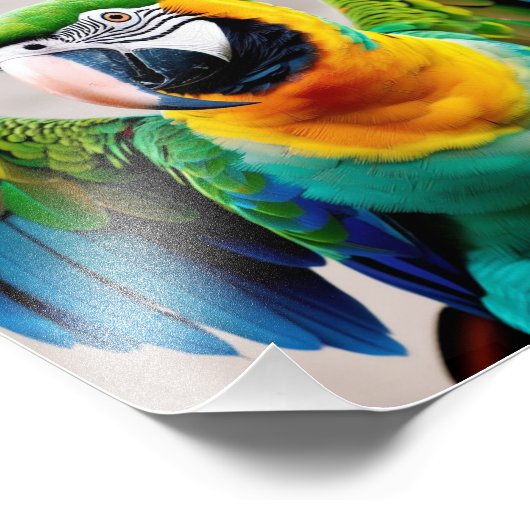 Impression Photo Perroquet coloré (Coin)
