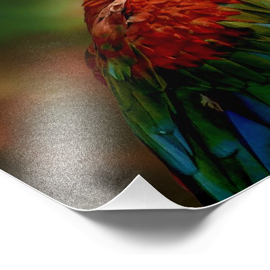 Impression Photo Perroquet coloré (Coin)