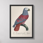 Impression Photo Perroquet Gris d'Afrique Psittacus Erithacus Facte