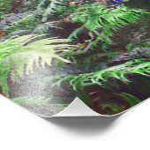 IMPRESSION PHOTO PERROQUETS CACATOÈS AU PARADIS (Coin)