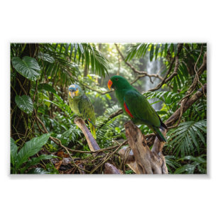 Impression Photo Perroquets Tropicaux