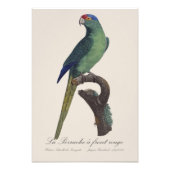 Impression Photo Perruche à front orange, Eupsittula Canicularis (Devant)