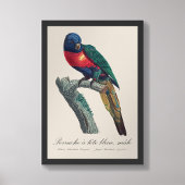 Impression Photo Perruche a tete bleue / Rainbow lorikeet
