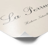 Impression Photo Perruche a Tete Jaune / Perruche de Caroline (Coin)