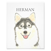 Impression Photo Personnalisé Pomsky Art (Devant)