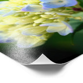 Impression Photo Pétales à fleurs bleu doux Hydrangea 8x10 (Coin)