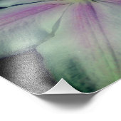 Impression Photo Pétales De Fleur Clematis Près 8x10 (Coin)