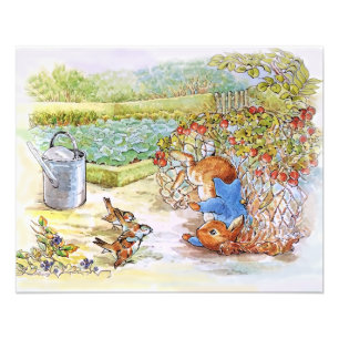 Impression Photo Peter le lapin Tumbling dans Vegie Patch