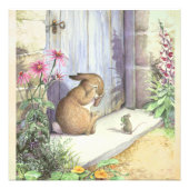 Impression Photo Peter Rabbit (Devant)