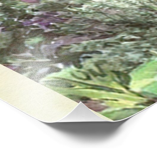 Impression Photo Peter Rabbit (Coin)