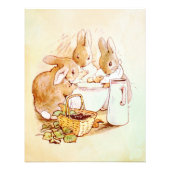 Impression Photo Peter Rabbit Beatrix Potter (Devant)