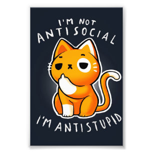 Impression Photo Petit Cadeau Kitty Chat  Chat Pour Anniversaire