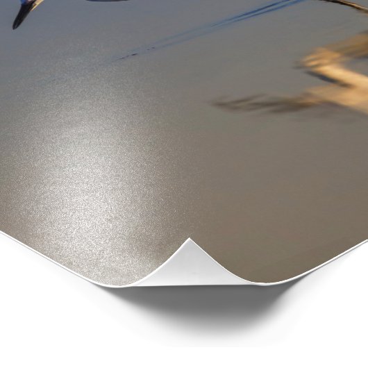 Impression Photo Petit feu (Coin)