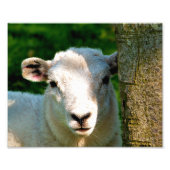 IMPRESSION PHOTO PETIT MOQUETTE (Devant)