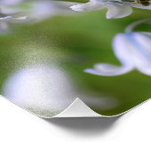 Impression Photo Petite Abeille Sur Bluebell Flower 10x8 Nature (Coin)